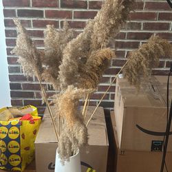 Pampas And Vase