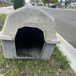 Dog House 