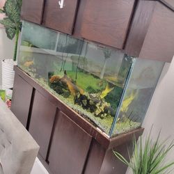 150 Gallon Fish Tank And Canopy with Accessories