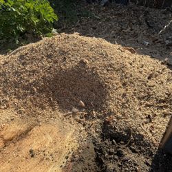 Oak wood chips, good for smoker. I just stomped this tree.