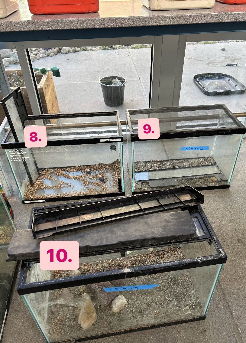 Various Size Reptile And Fish Tank Aquariums For Donations for Sale in