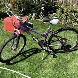 Purple Schwinn bike / bicycle working condition
