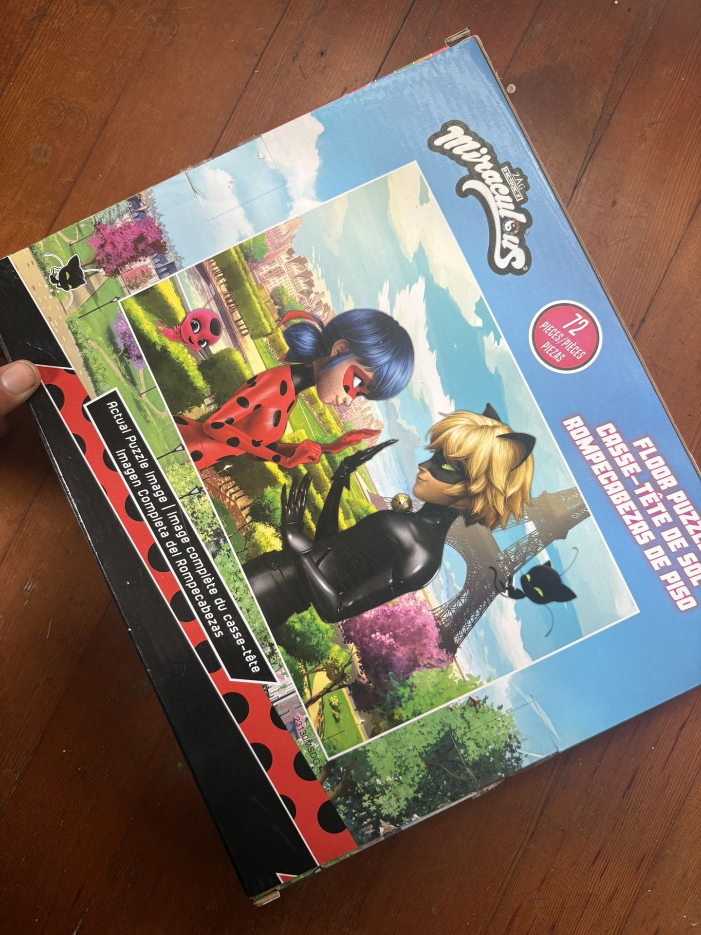 Unopened Miraculous Puzzle