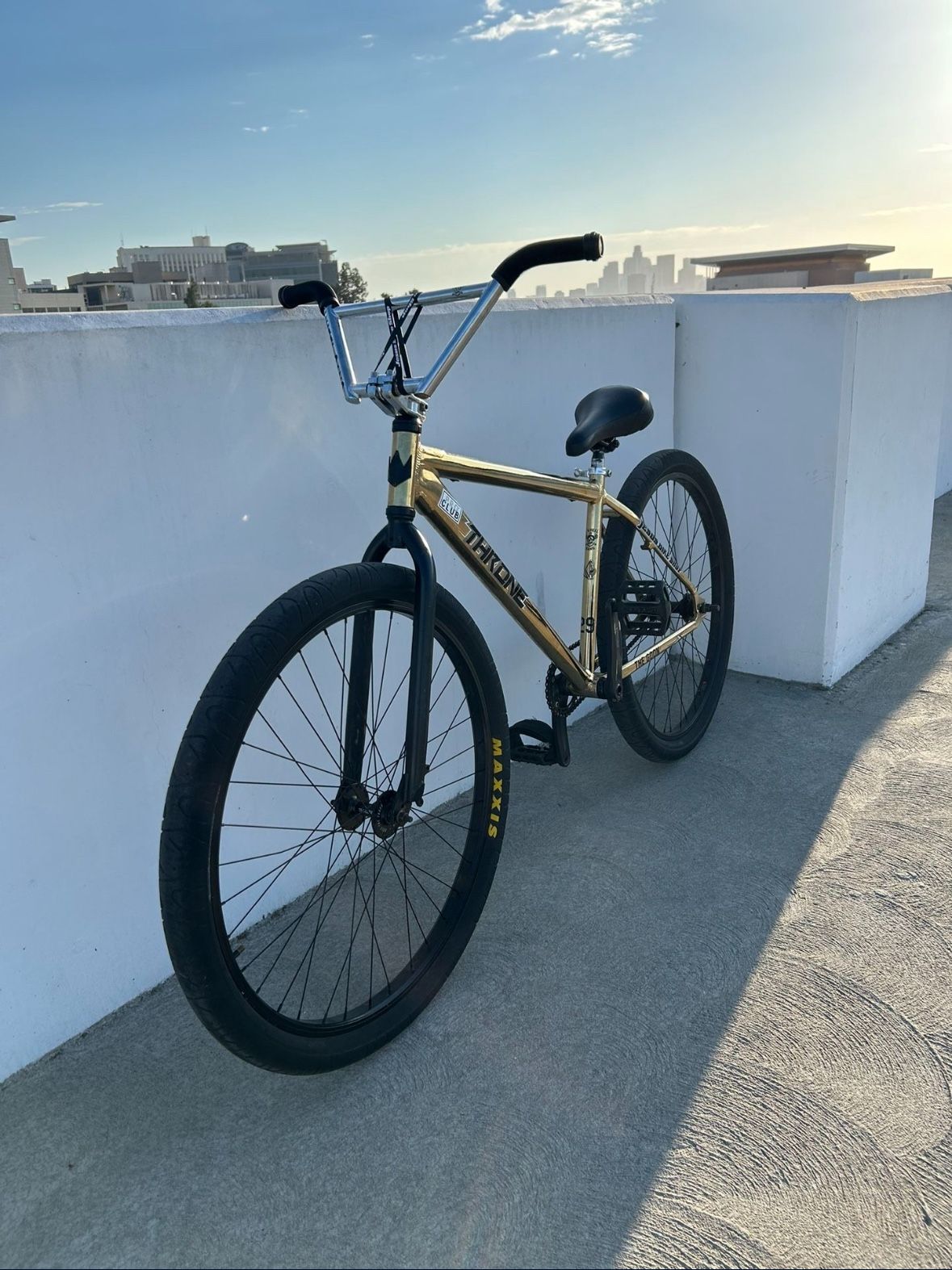 Throne 29er Gold Bike