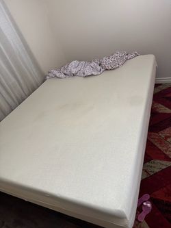 🆓 FREE Queen Size Bed Frame + Mattress – Must Pick Up