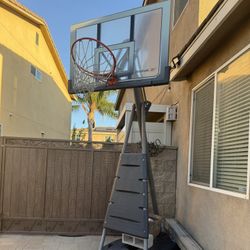 REEBOK BASKETBALL HOOP