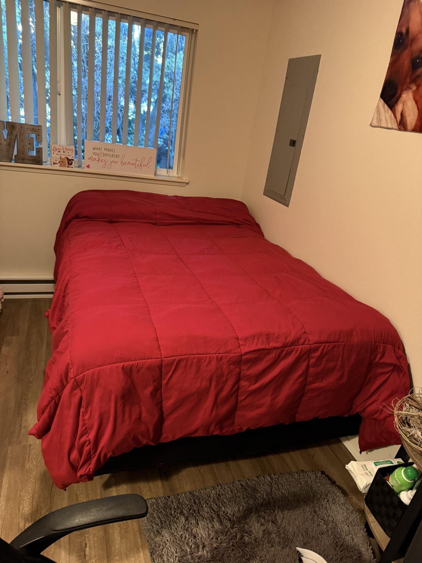 Full Size Mattress, With Frame