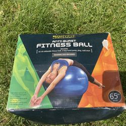 Fitness Ball