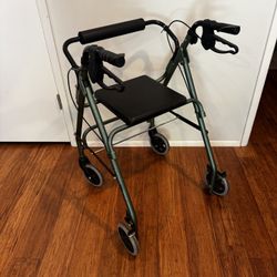 Adult Walker