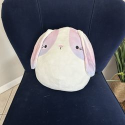 Lavada the bunny squishmallow
