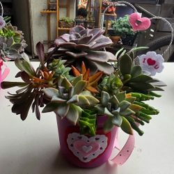 Valentines Day Succulent Arrangement 