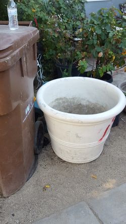 Big flower pot 15 or 20 gallons