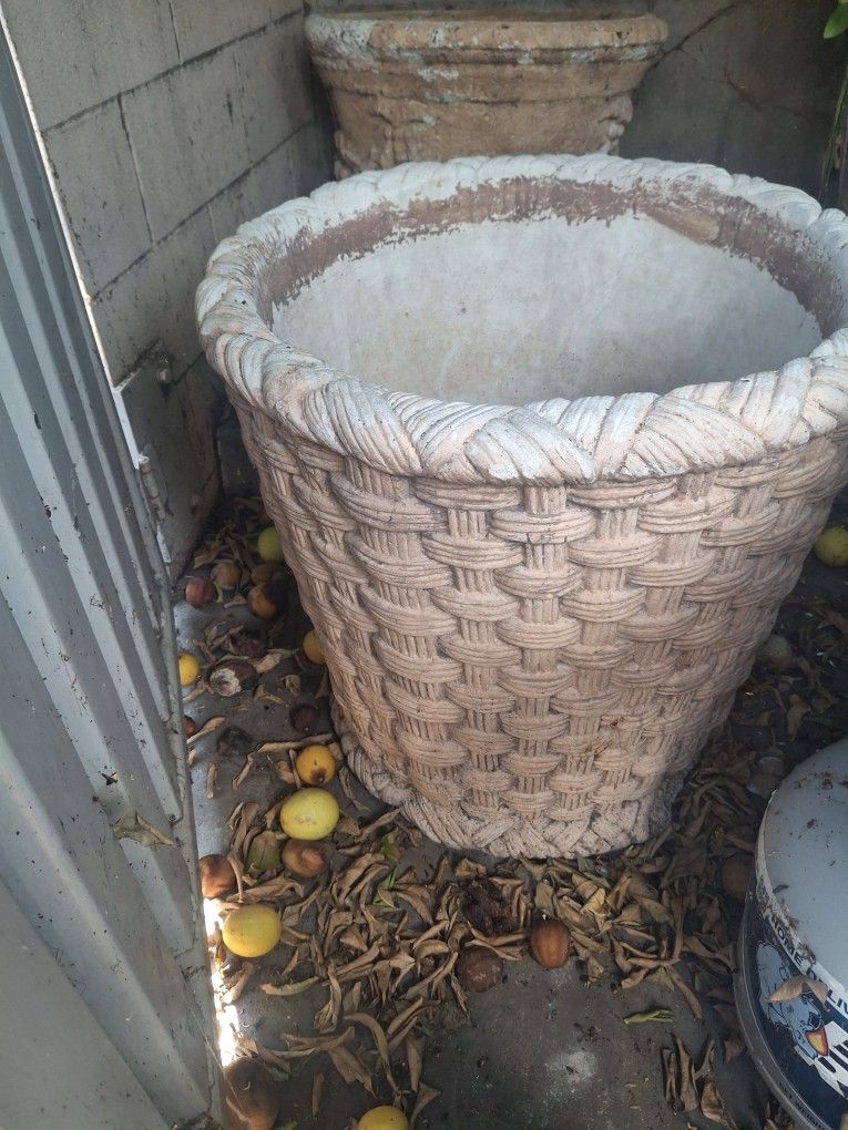 Ceramic & Cement Pots