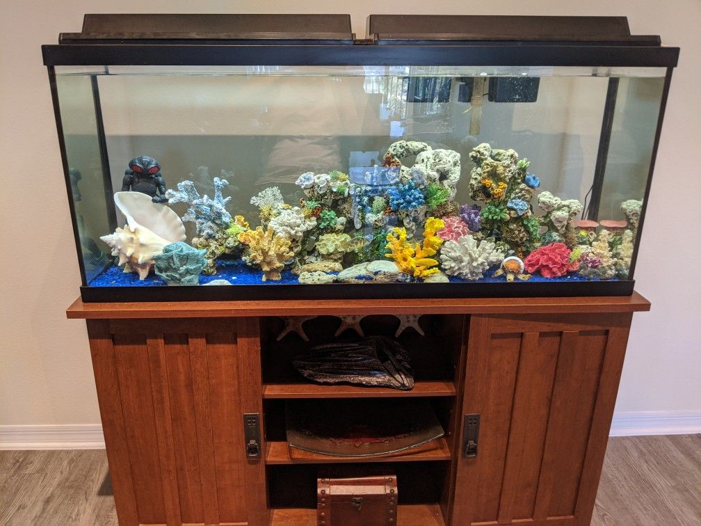 55 gallon aquarium with wood stand