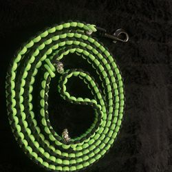 Dog Leash 6’ 