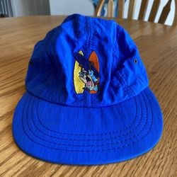 Looney Tunes Taz Tasmanian Devil with Surfboards Ball Cap Hat Royal Blue 