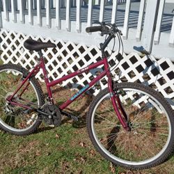 Raleigh 26-in Multi-speed Mountain Bike Ready To Ride For Sale Or Trade