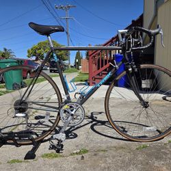 Vintage Trek 420 Road Bike