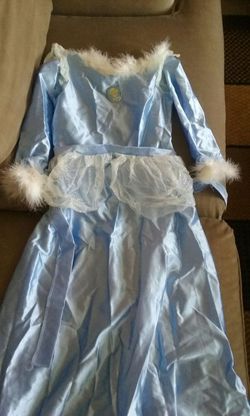 Cinderella costume