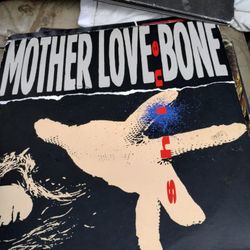 Grunge Rock LPs