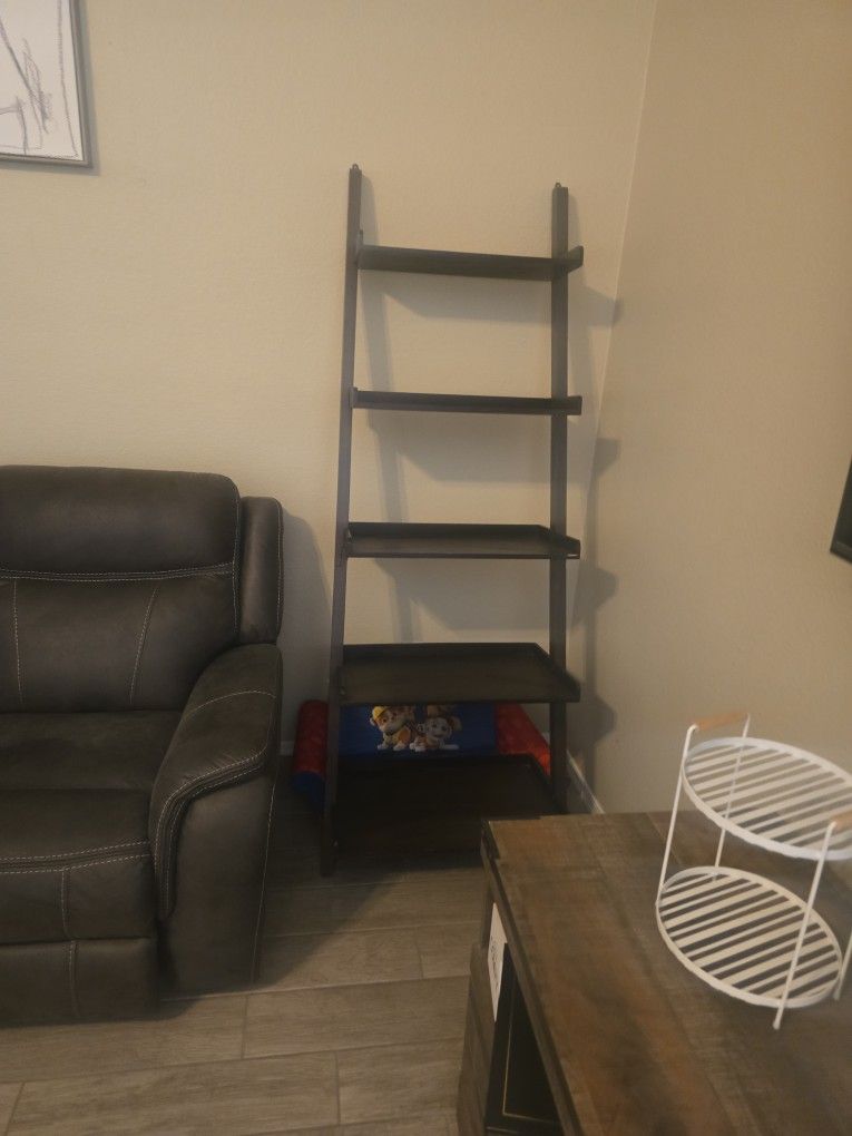 Ladder Shelf
