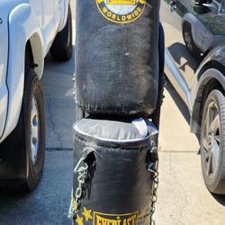 Punching Bags by Everlast 