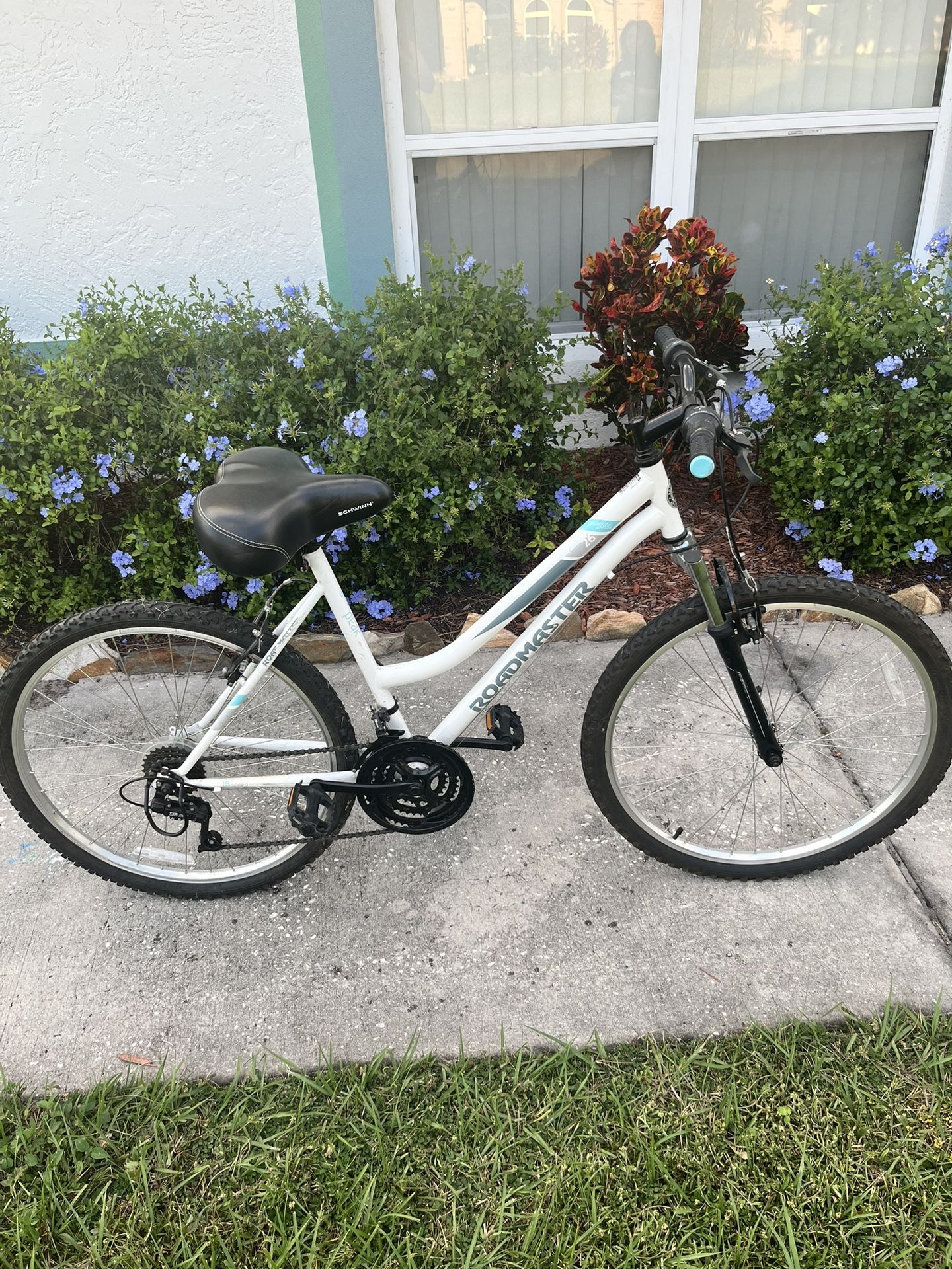 Mountain bike