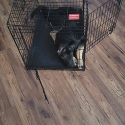 Metal Dog Crate/kennel