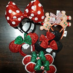 DISNEY EARS 