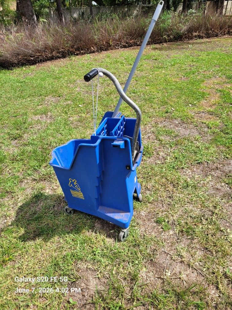Mop And Mop Wringer