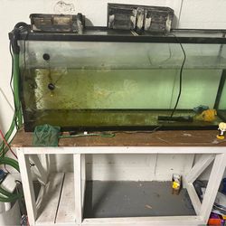 55 Gallon Tank, Stand, Lights and Filters