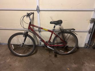 Adult bike