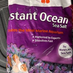 5 And 10 Gallon Fish Tank 