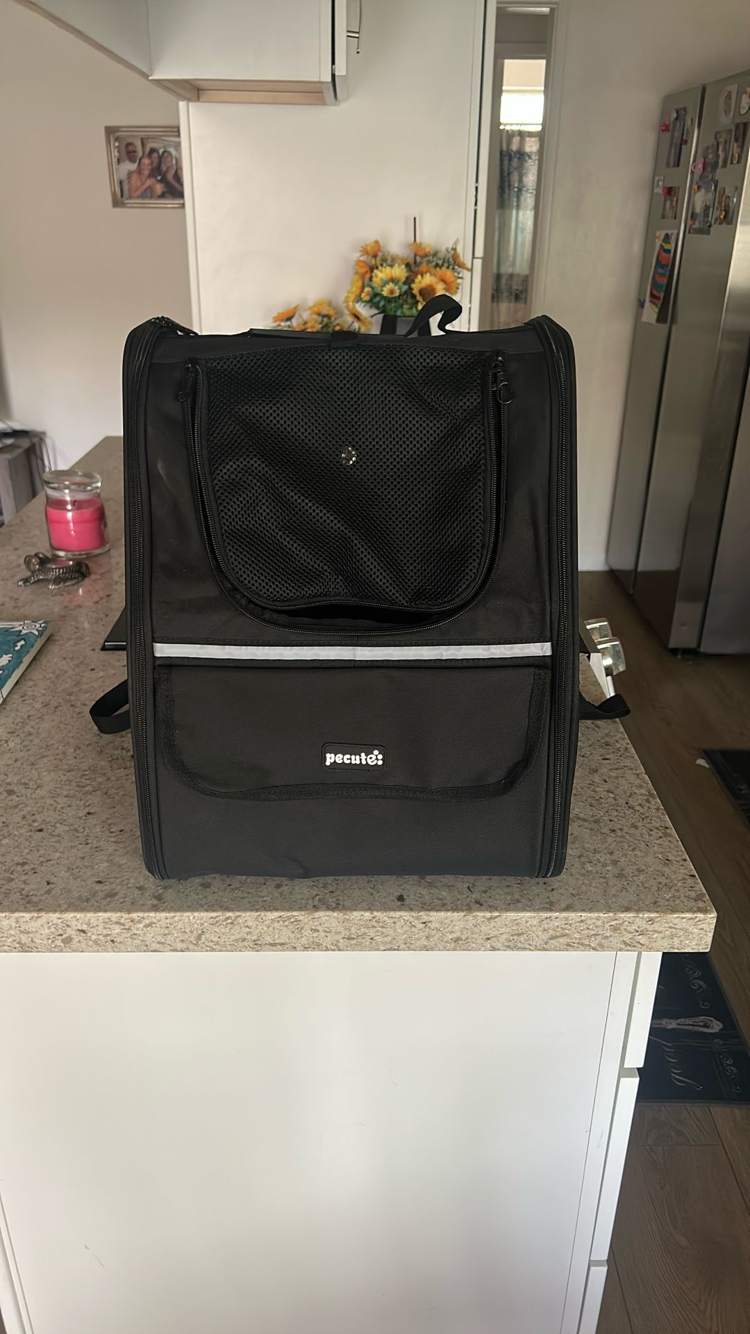 Pet Backpack