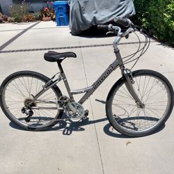 Campus Bikes, All Tuned Up And Ready To Ride