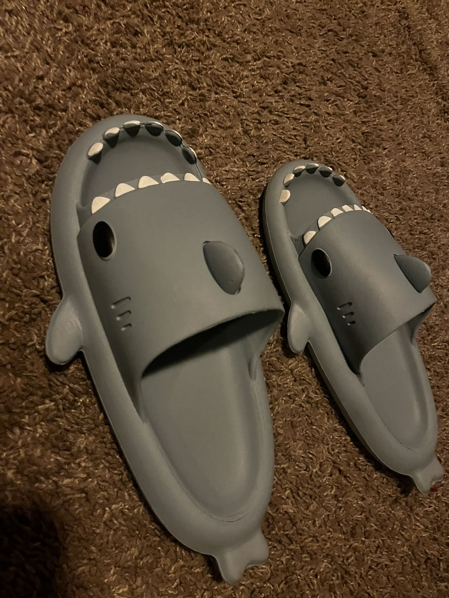 Shark slides for Sale in Phoenix, AZ OfferUp