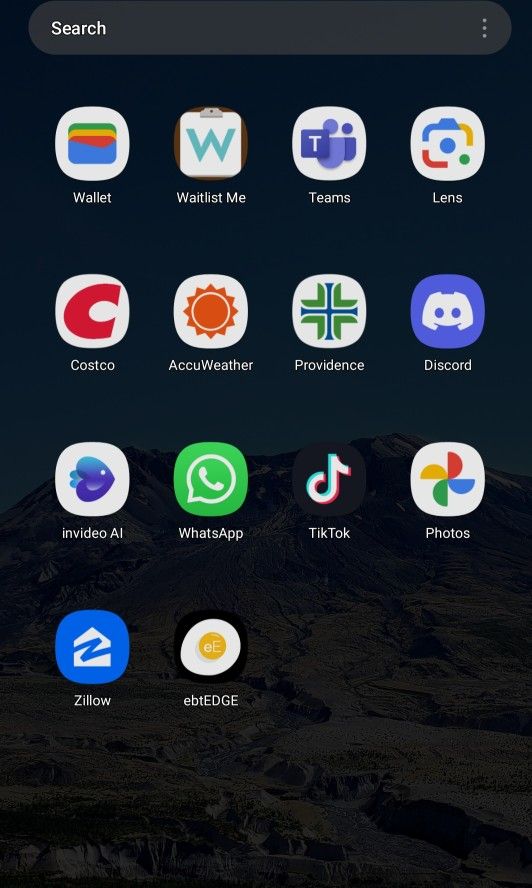 Tik Tok Phone