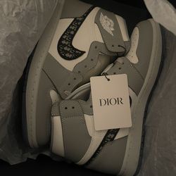 Dior Air Jordan 1