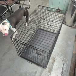 Dog Kennel
