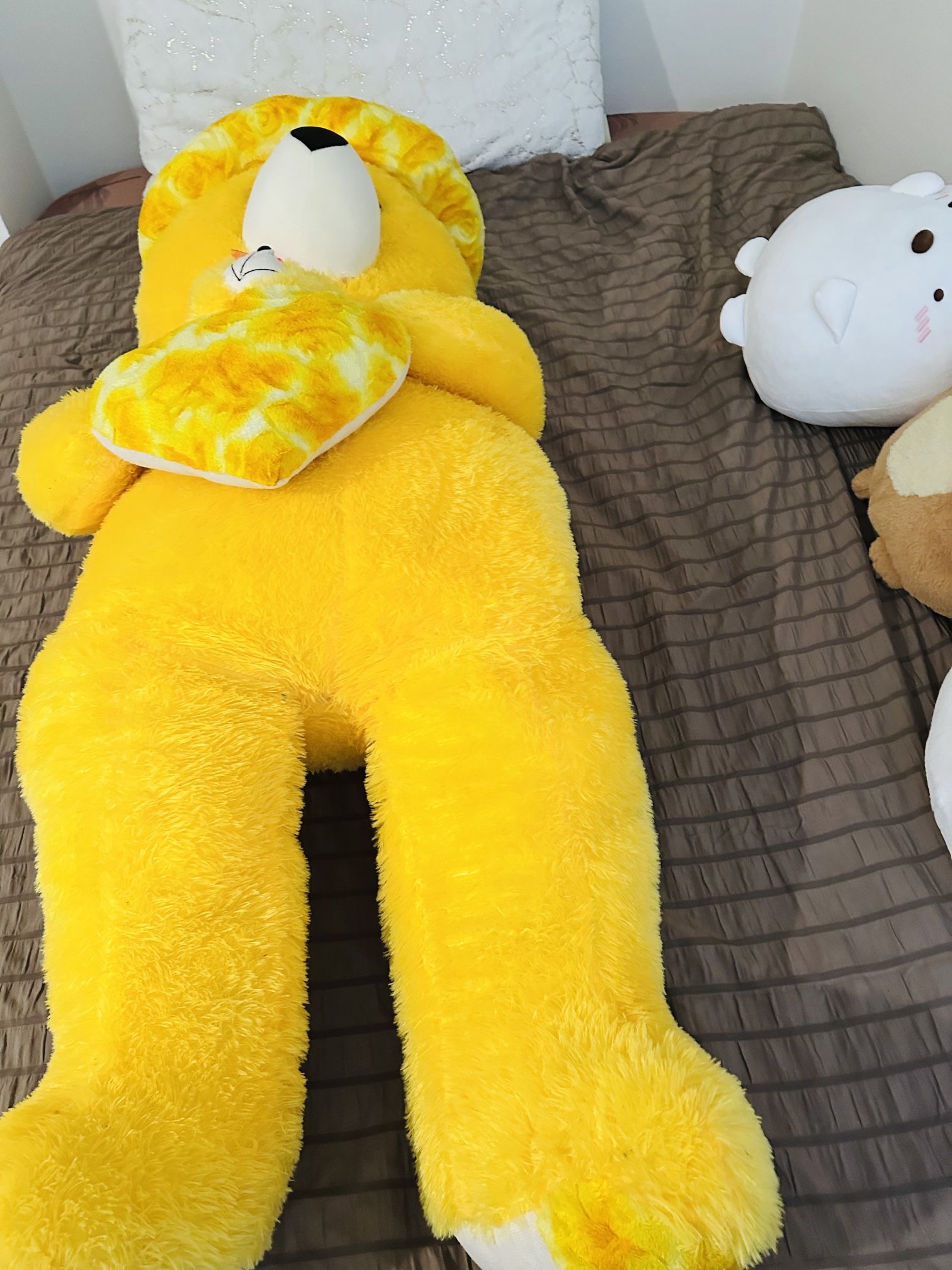 Teddy Bear 