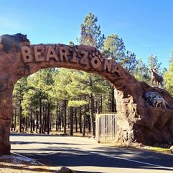 Bearzona Tickets 