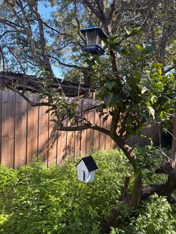 Birdhouse and feeder
