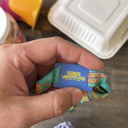 Beyond wonderland 2-day tickets