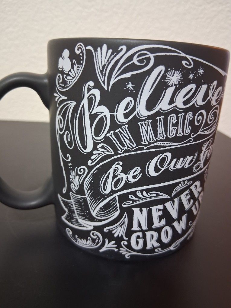 Disney Magic Kingdom Coffee Mug