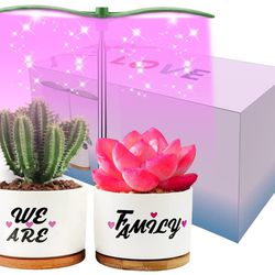 New Succulent Pots with Grow Lights 3.54” White Ceramic Small Flower Pots with Bamboo Tray