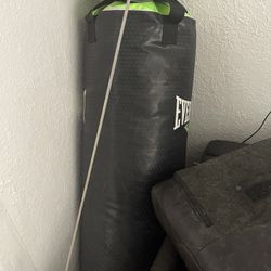 Everlast Punching Bag