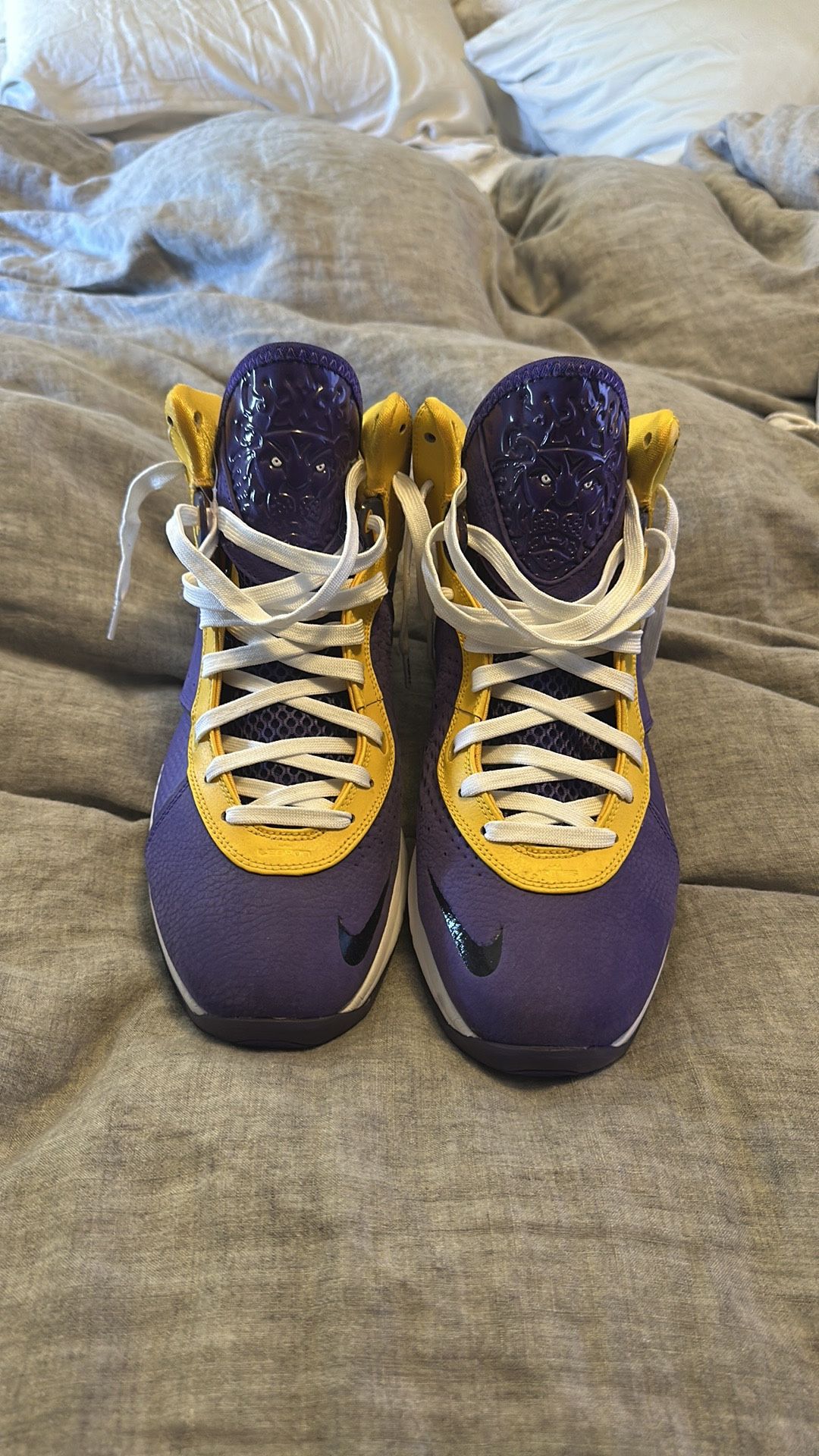 LeBron 8