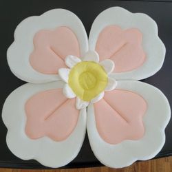 Baby Bath Cushion