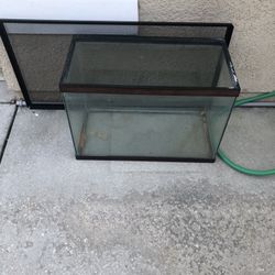 20 Gallon Fish Tank