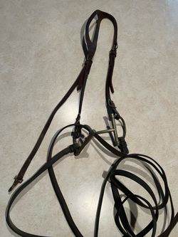 Bridle For Horses